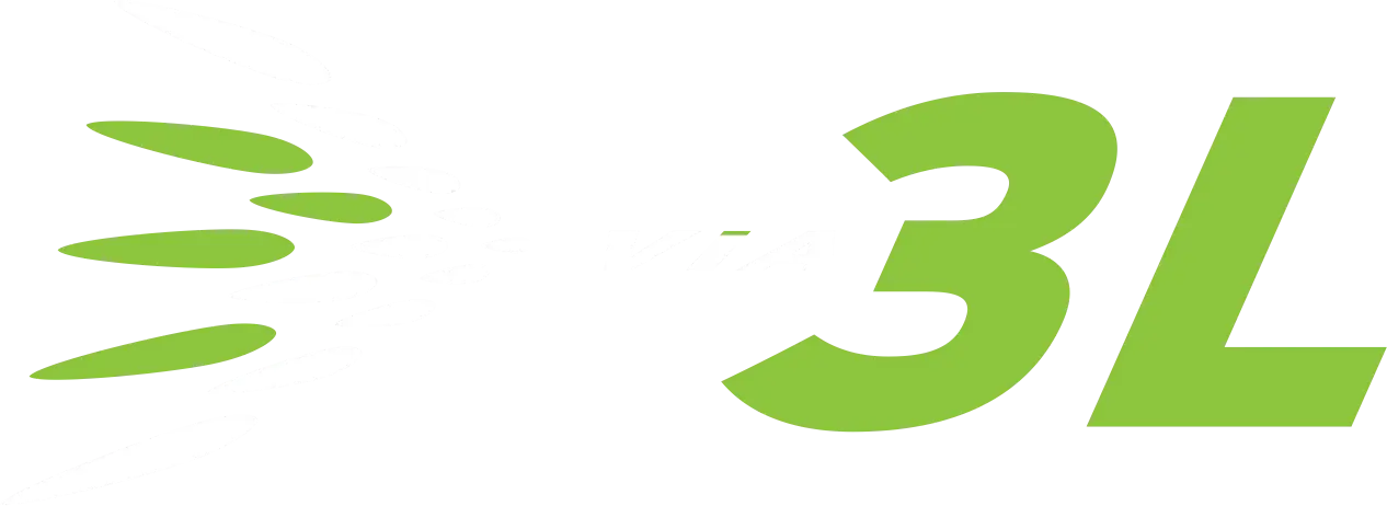 Via 3L Logo