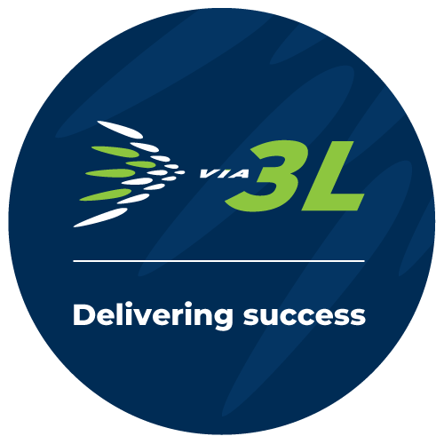 delivering success logo