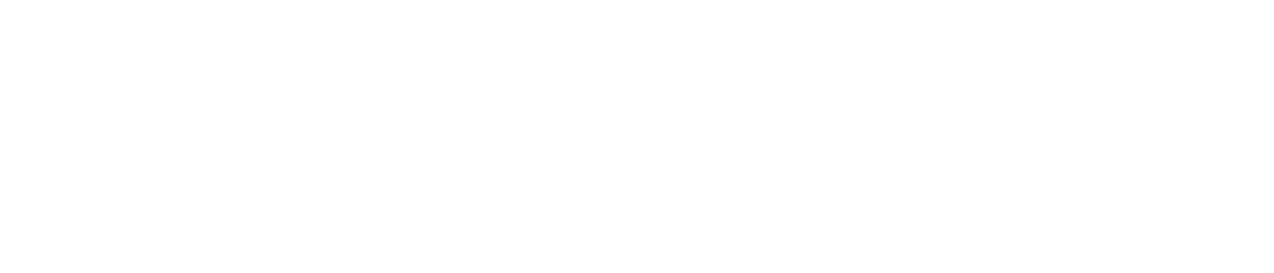Via 3L Logistics